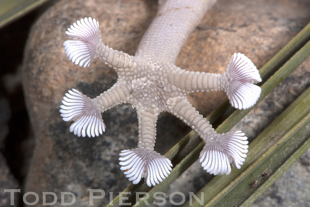 5823944808_00e8119feb_b